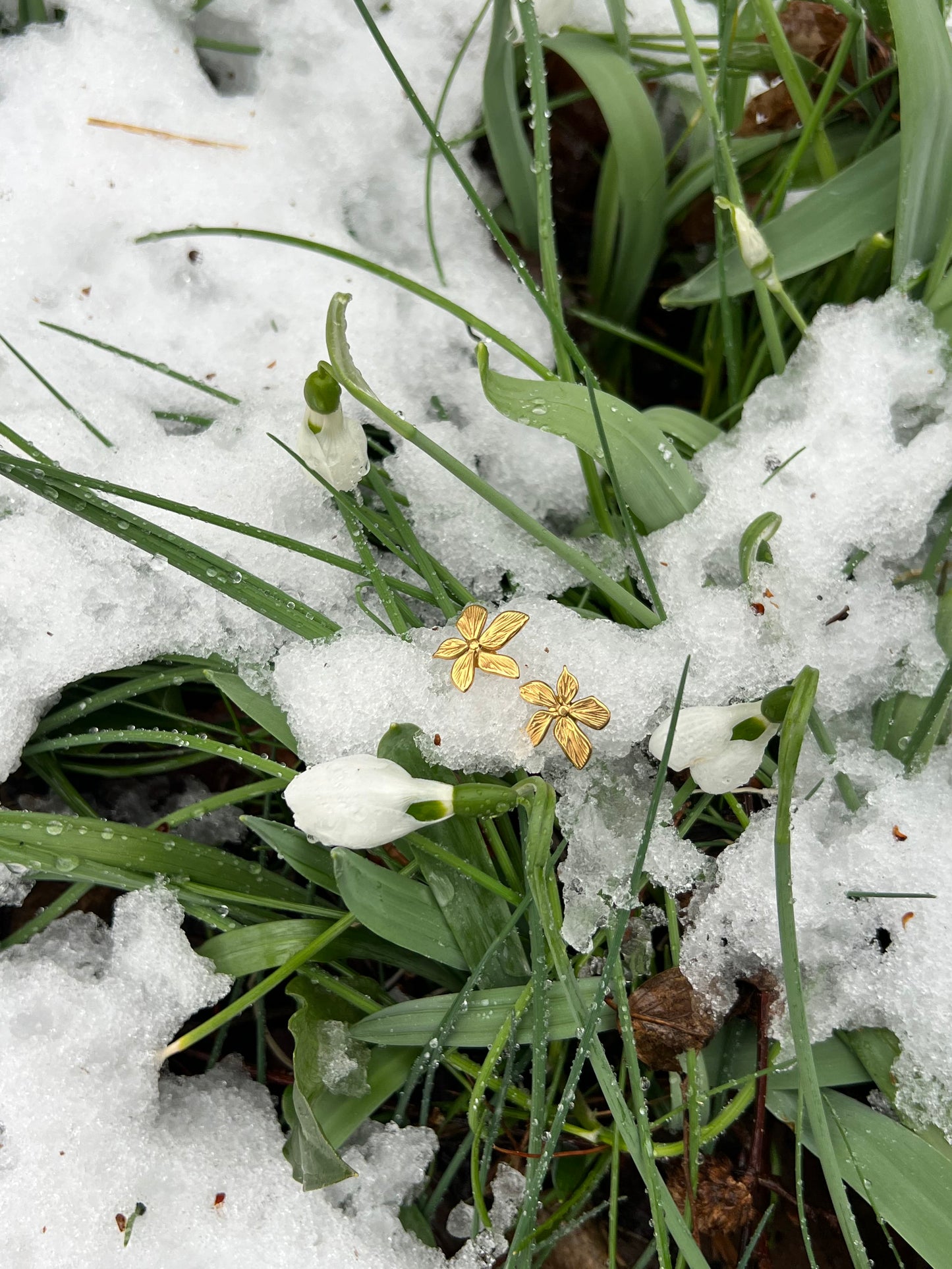Winter Blossom Earrings