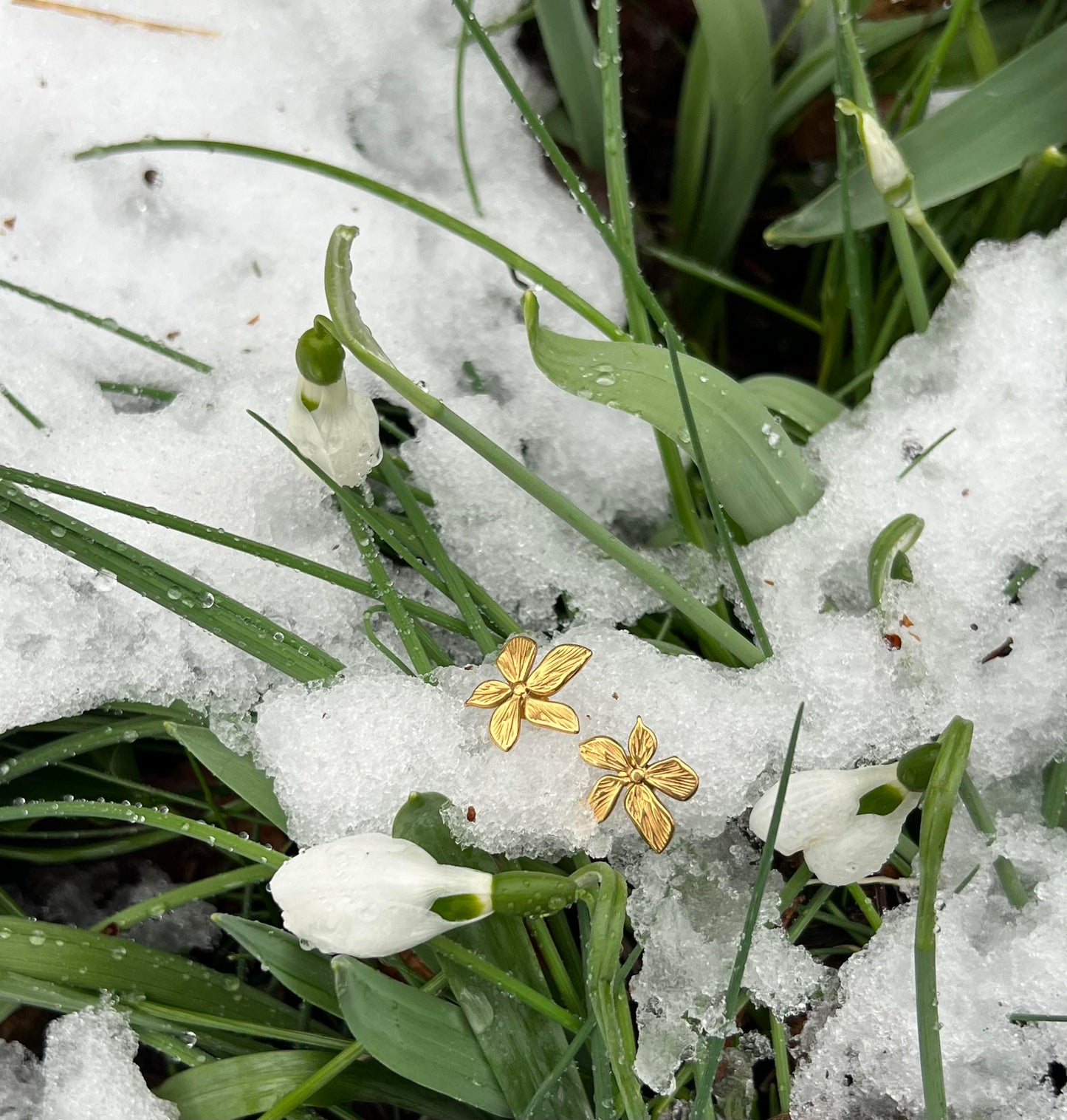 Winter Blossom Earrings