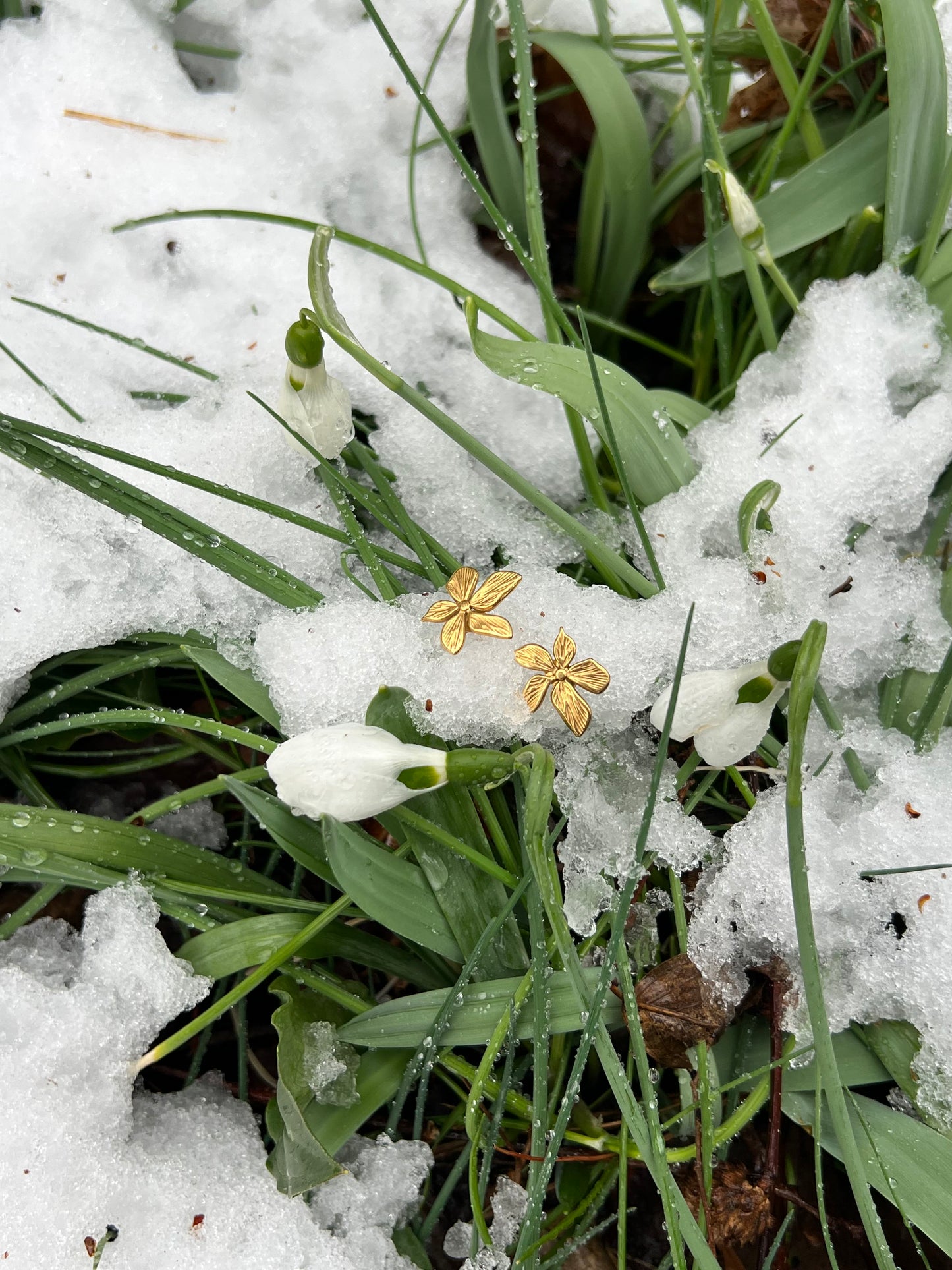 Winter Blossom Earrings